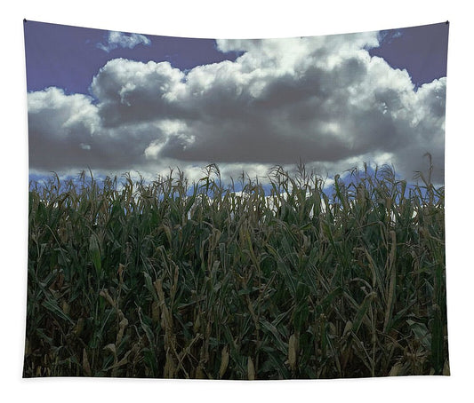 Illinois Corn - Tapestry