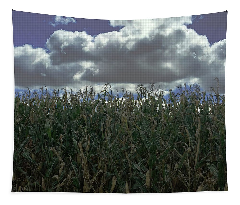 Illinois Corn - Tapestry