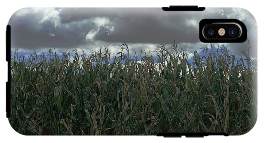 Illinois Corn - Phone Case