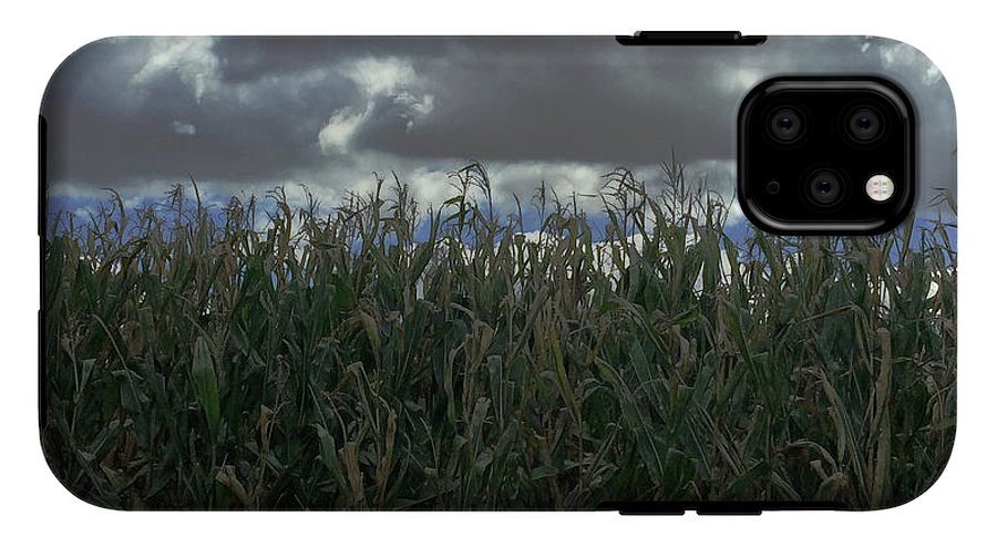 Illinois Corn - Phone Case