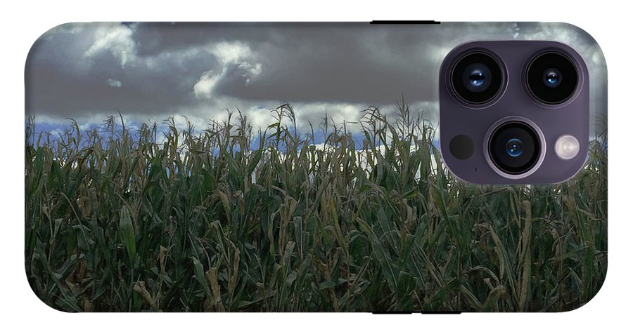 Illinois Corn - Phone Case