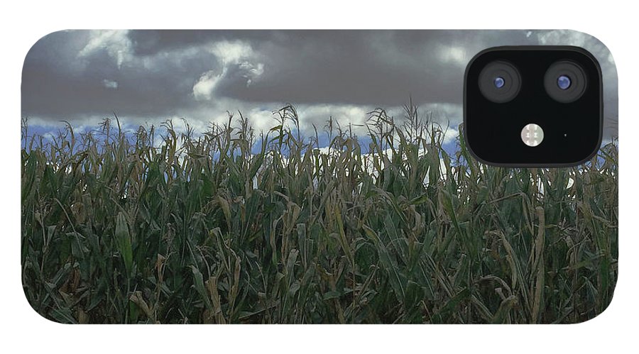 Illinois Corn - Phone Case