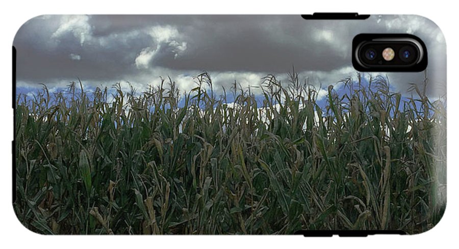 Illinois Corn - Phone Case