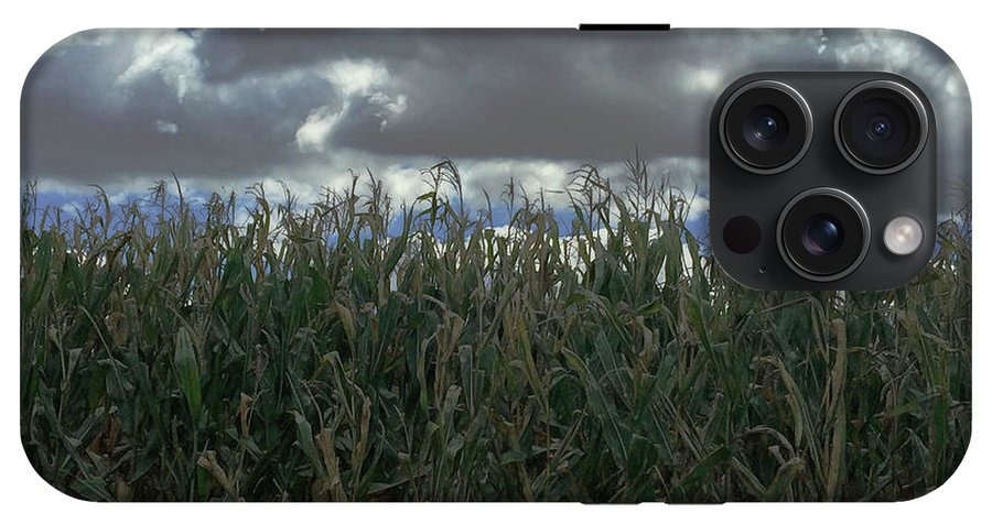 Illinois Corn - Phone Case