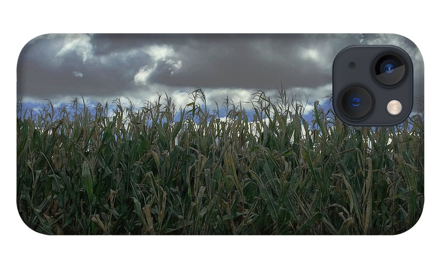 Illinois Corn - Phone Case