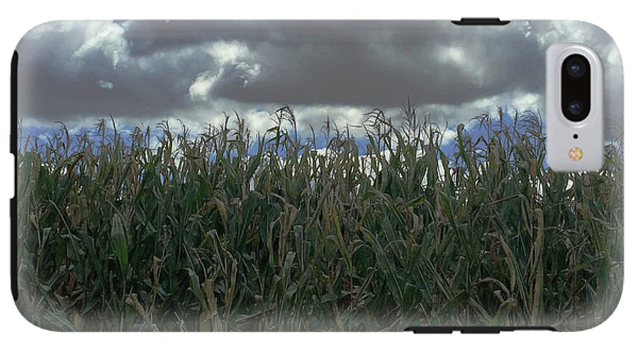 Illinois Corn - Phone Case
