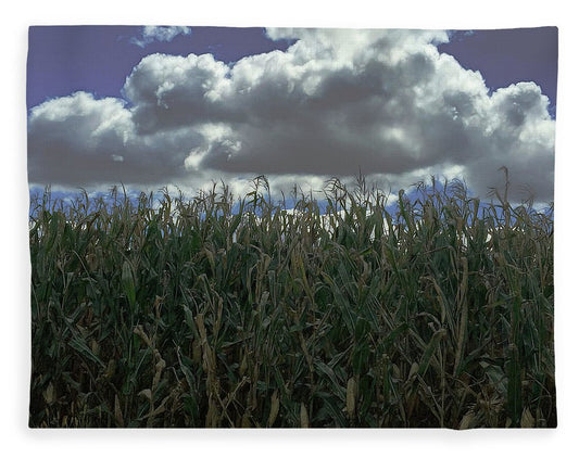 Illinois Corn - Blanket