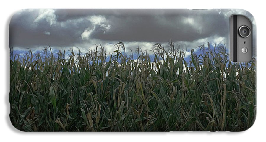 Illinois Corn - Phone Case