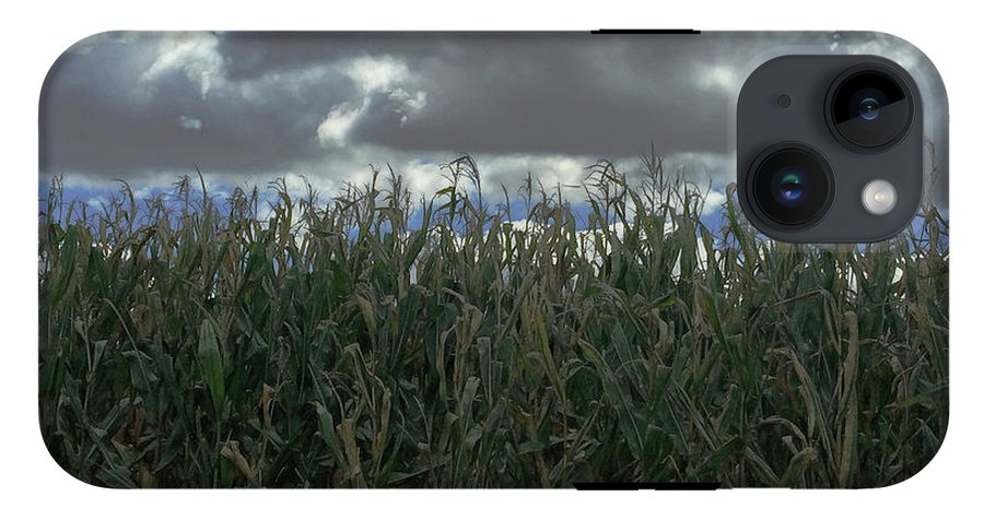 Illinois Corn - Phone Case