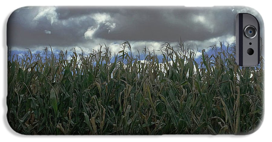 Illinois Corn - Phone Case