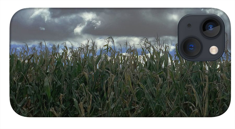 Illinois Corn - Phone Case