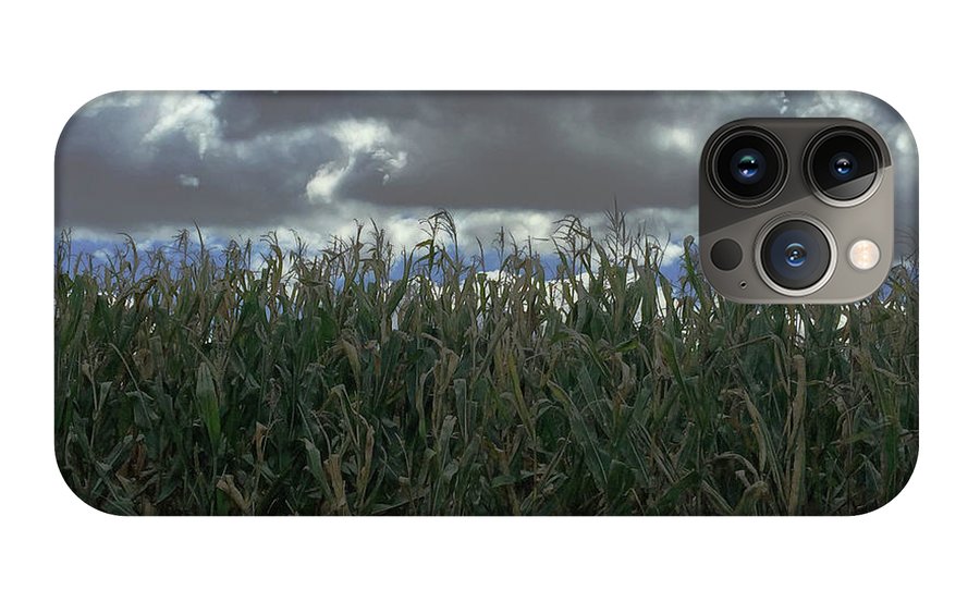Illinois Corn - Phone Case