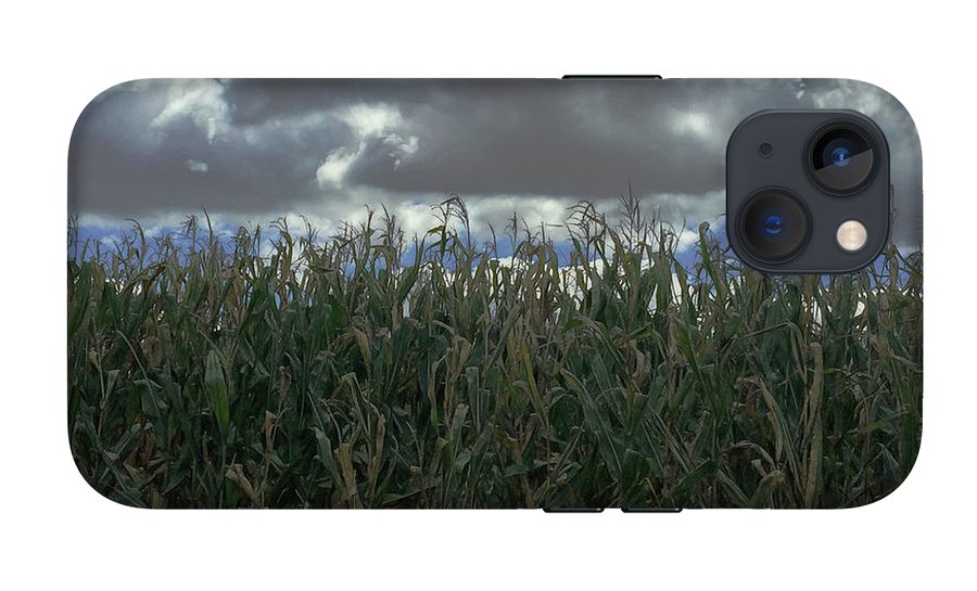 Illinois Corn - Phone Case