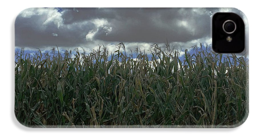 Illinois Corn - Phone Case