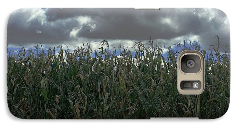 Illinois Corn - Phone Case