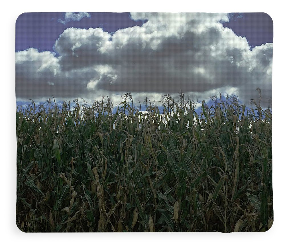 Illinois Corn - Blanket
