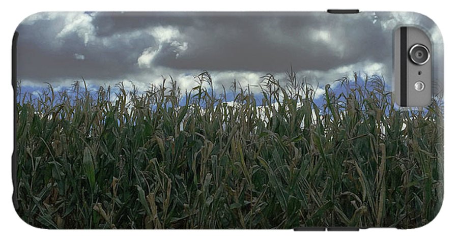 Illinois Corn - Phone Case