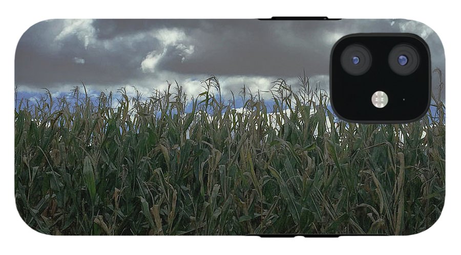 Illinois Corn - Phone Case