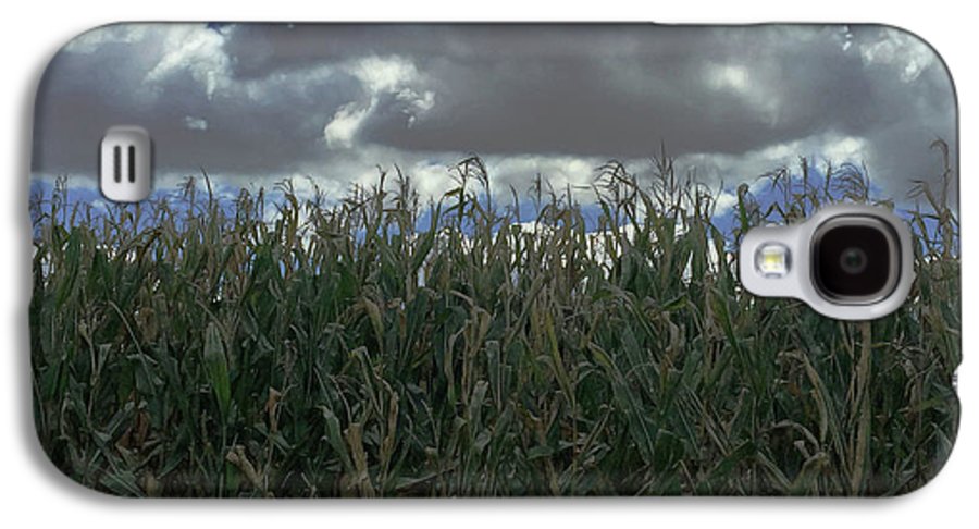Illinois Corn - Phone Case