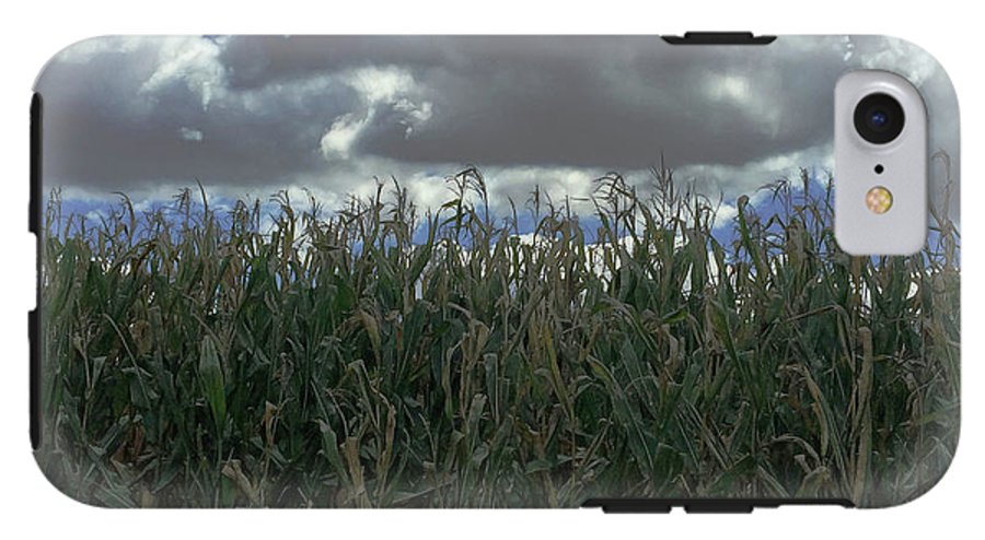 Illinois Corn - Phone Case