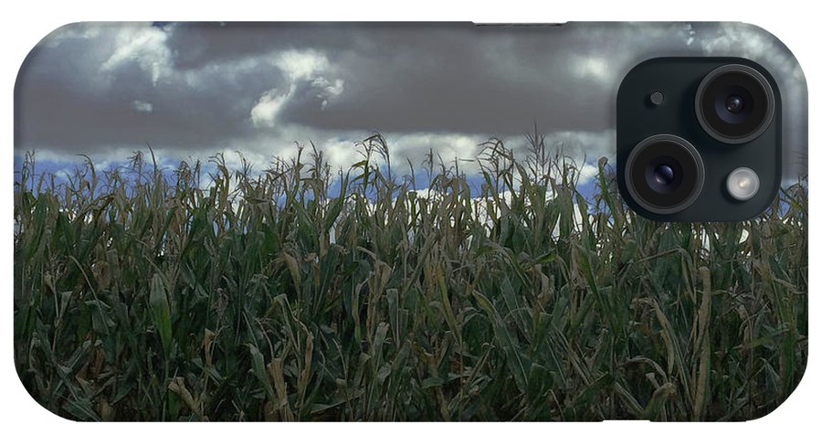 Illinois Corn - Phone Case