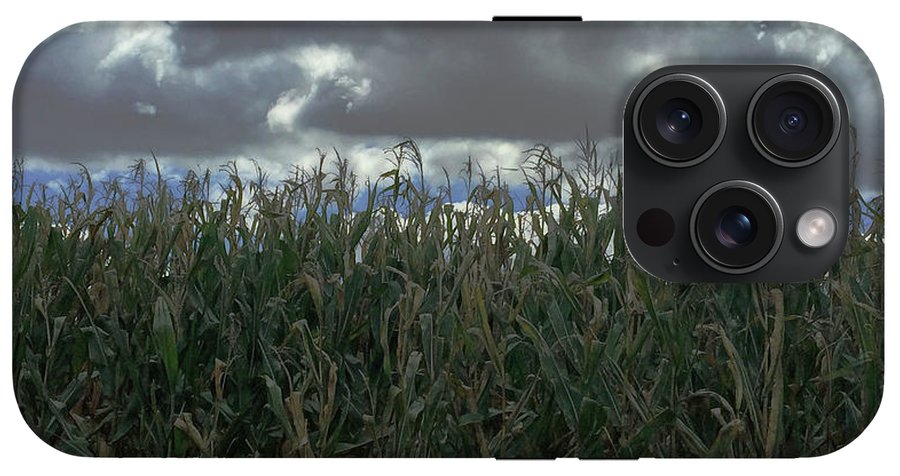 Illinois Corn - Phone Case