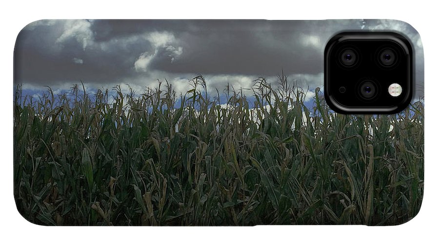 Illinois Corn - Phone Case