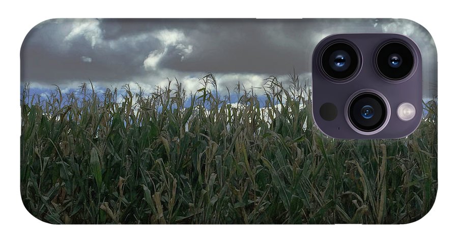 Illinois Corn - Phone Case