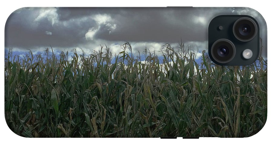 Illinois Corn - Phone Case