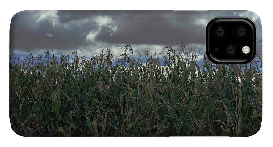 Illinois Corn - Phone Case