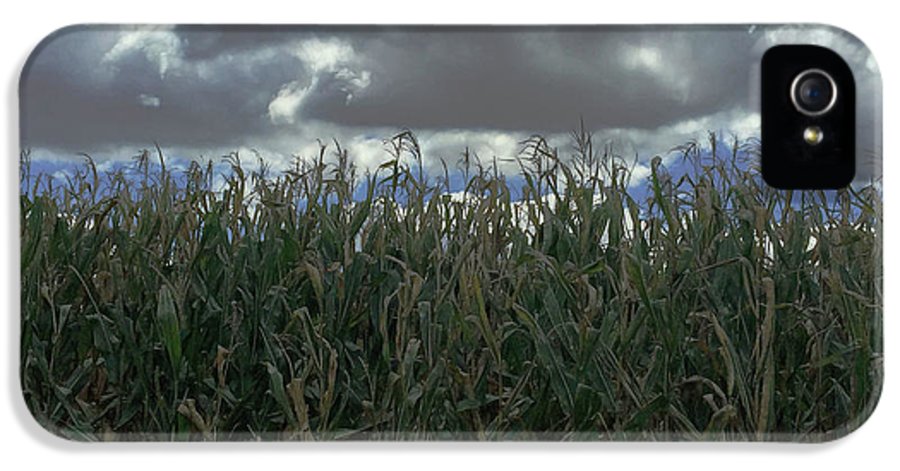 Illinois Corn - Phone Case