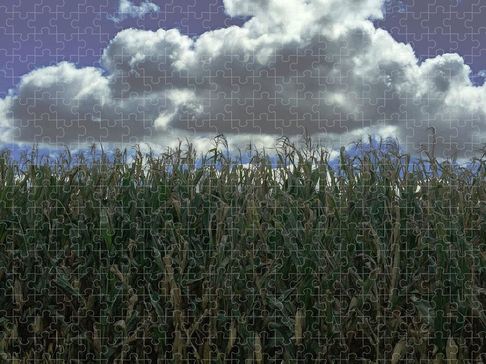 Illinois Corn - Puzzle