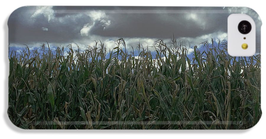 Illinois Corn - Phone Case