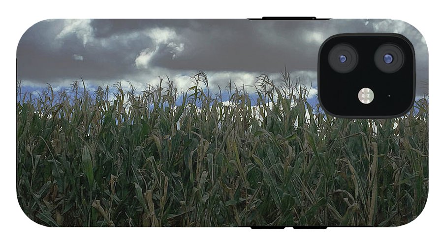 Illinois Corn - Phone Case
