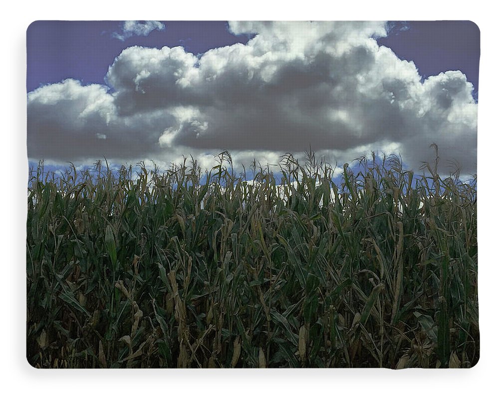 Illinois Corn - Blanket