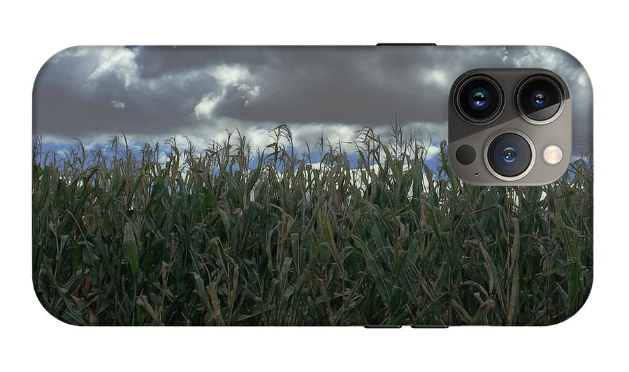 Illinois Corn - Phone Case