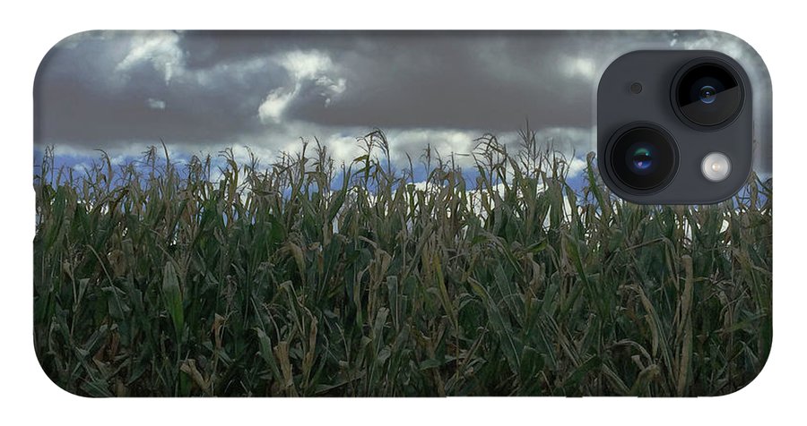 Illinois Corn - Phone Case