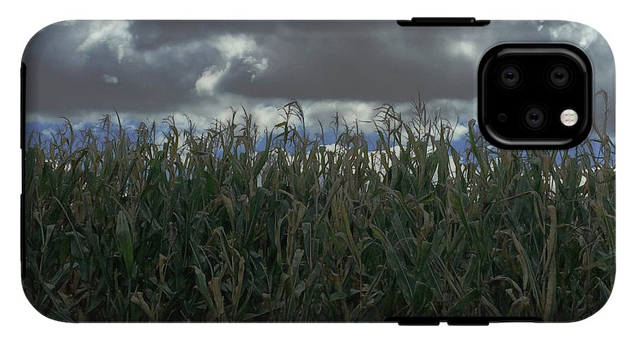 Illinois Corn - Phone Case