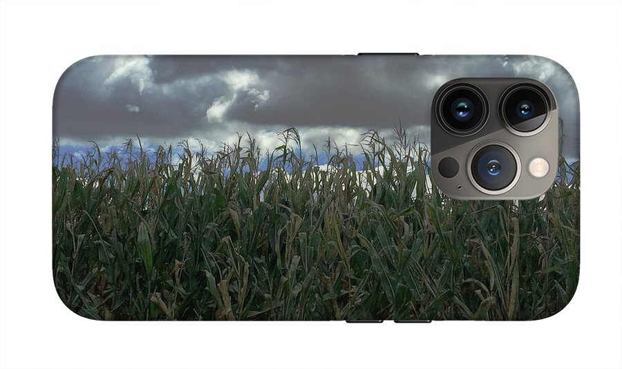 Illinois Corn - Phone Case