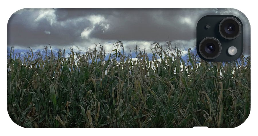 Illinois Corn - Phone Case