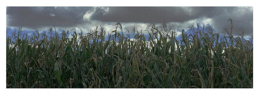 Illinois Corn - Yoga Mat