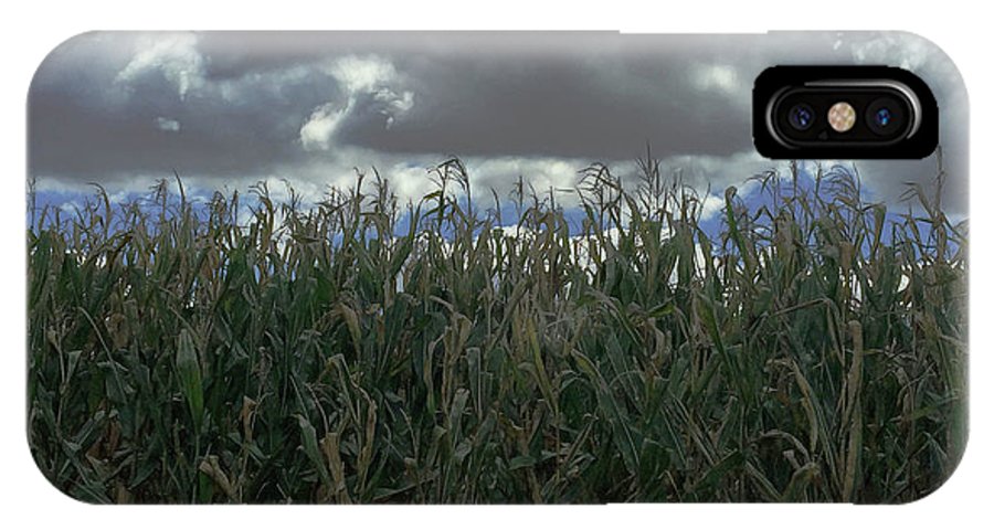 Illinois Corn - Phone Case