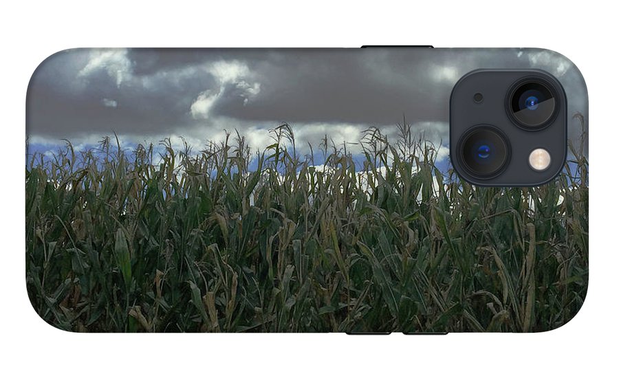 Illinois Corn - Phone Case