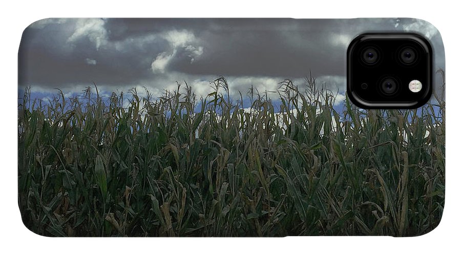 Illinois Corn - Phone Case
