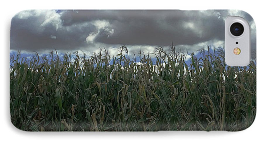 Illinois Corn - Phone Case