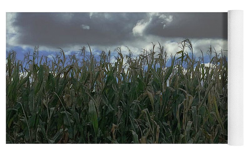 Illinois Corn - Yoga Mat