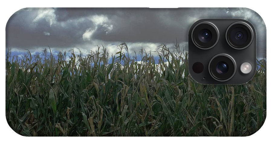 Illinois Corn - Phone Case