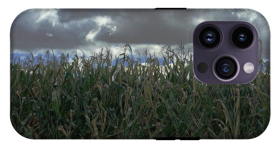 Illinois Corn - Phone Case