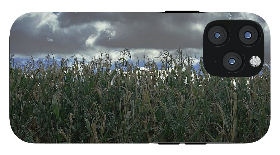 Illinois Corn - Phone Case