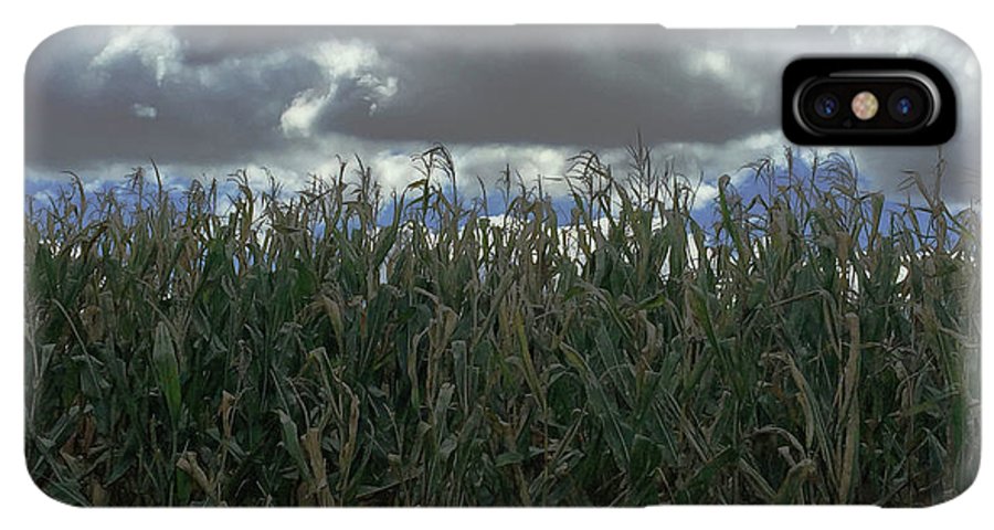 Illinois Corn - Phone Case